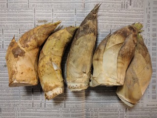 IMG_20170504_201229.jpg